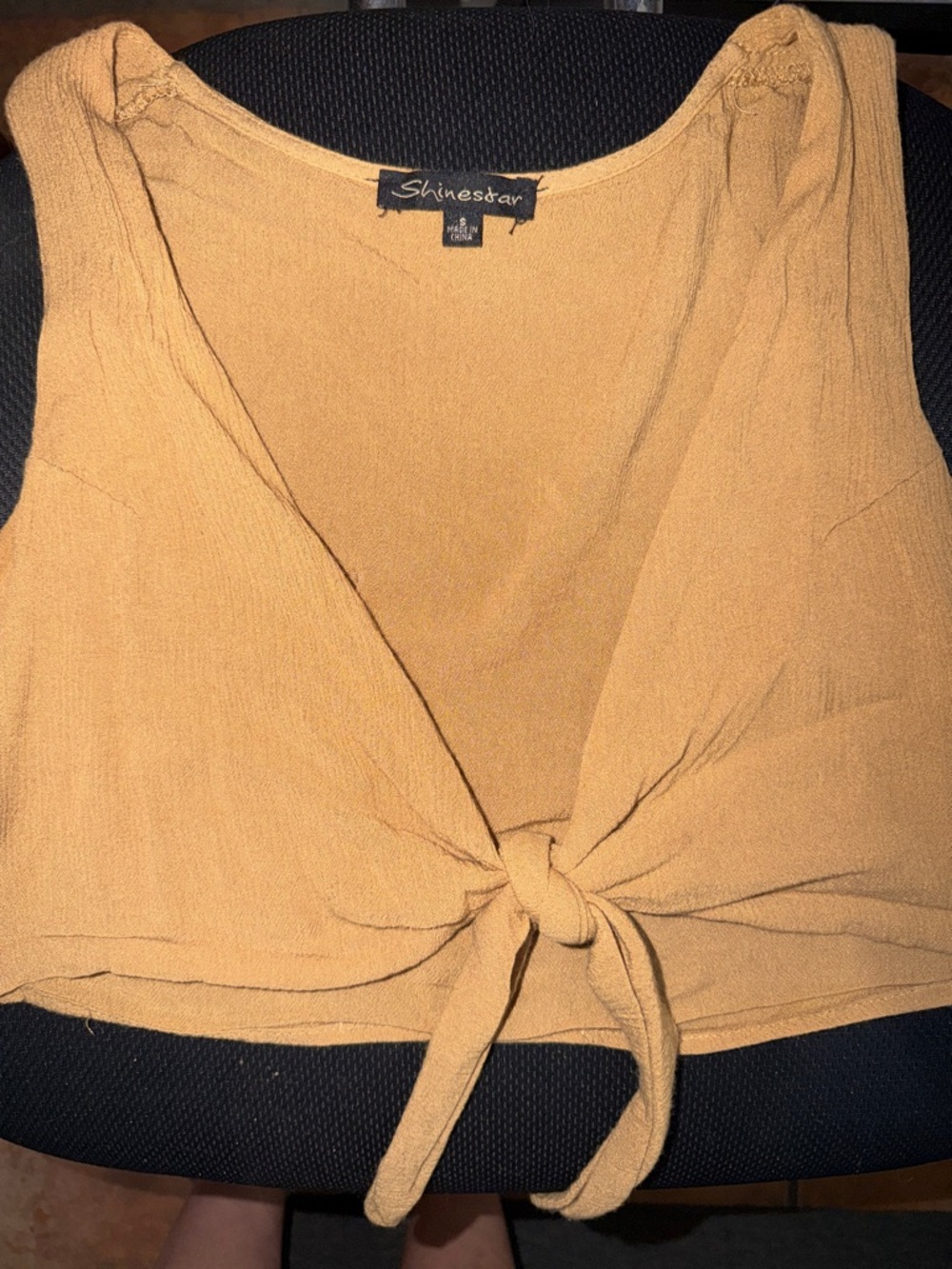 Shinestar Beige V-Neck Tie Front Crop Top (Size Small)